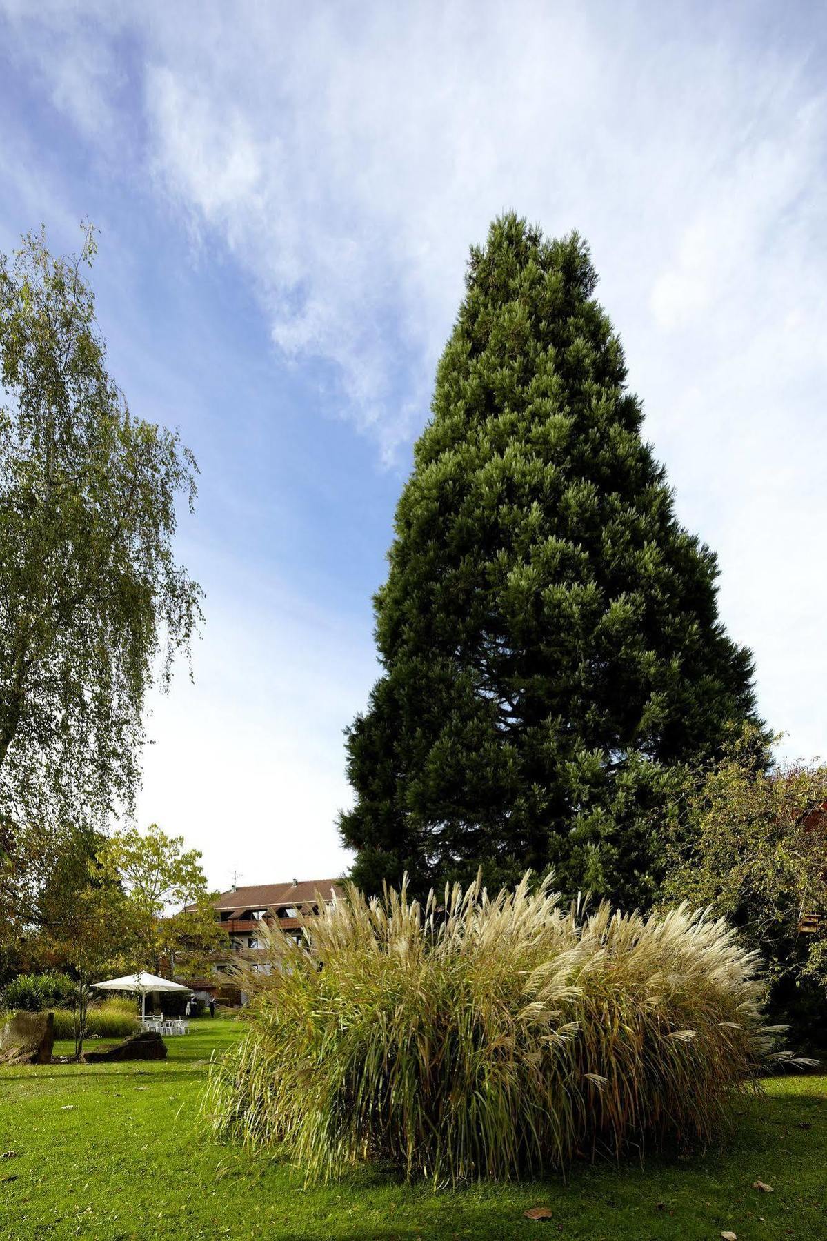 Neunkirchen  Naturkulturhotel Stumpf מראה חיצוני תמונה